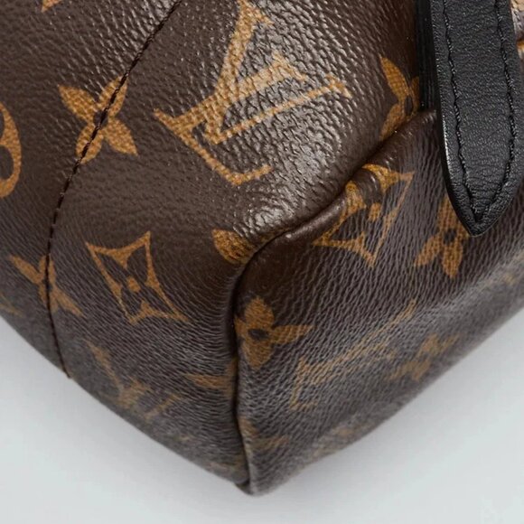 Louis Vuitton Monogram Canvas Palm Springs MM Backpack Bag - Picture 5 of 12